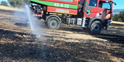 Hisarcık’ta anız yangını 5 dekarlık alana zarar verdi
