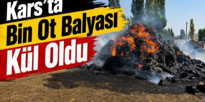 Kars’ta bin ot balyası kül oldu