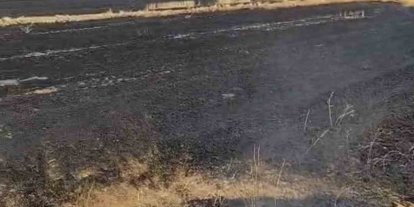 Anız ateşi kontrelden çıktı, bin dönüm otluk alan yandı