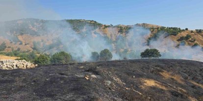 Bingöl’de kırsal alanda çıkan yangın söndürüldü