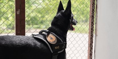 Narkotik operasyonlarının kahramanı narkotik köpeği emekli oldu