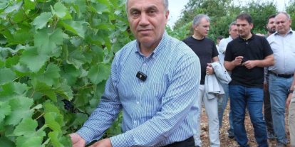TOGÜ bağlarında sezonun ilk üzüm hasadı yapıldı