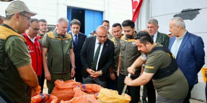 TMO, Giresun’da fındık alımına başladı