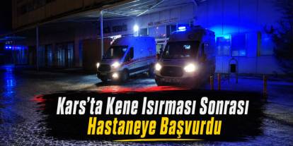 Kars’ta Kene Isırması Sonrası Hastaneye Başvurdu