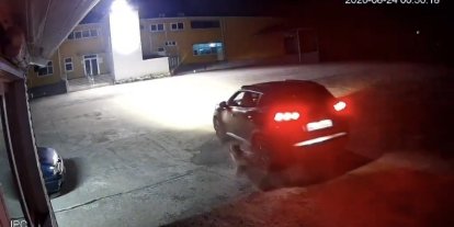 Giresun’da köpeği ezen adam vicdanları yaraladı