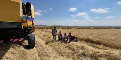 Kars’ta biçerdöver hasadı kontrolleri sıklaştırıldı