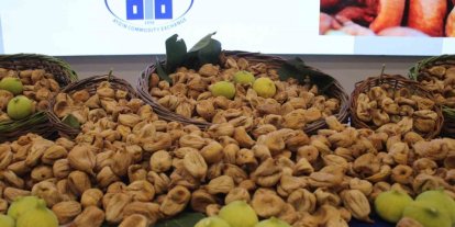 Aydın’da sezonun ilk kuru inciri 850 liradan satıldı
