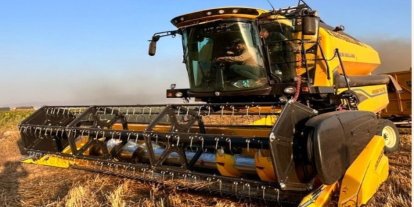 Yerli tohum ’Parla’ Erzurum’un çetin kışına meydan okuyor