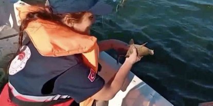 Kastamonu’da barajda 2 bin metre ağ ele geçirildi, 108 balık tekrar suyla buluşturuldu