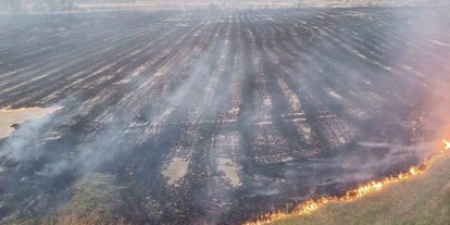 Kastamonu’da çıkan örtü yangınında 400 dönüm alan zarar gördü