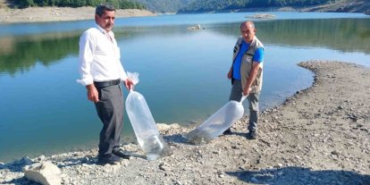 Orhaneli’de göletler sazan yavrularıyla buluştu