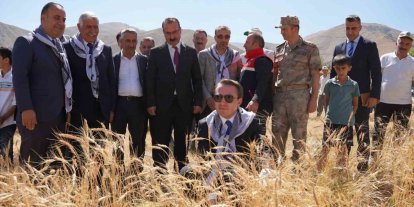 Yüksekova Kaymakamı Volkan Hülür Büyükçiftlik’te buğday hasadına katıldı