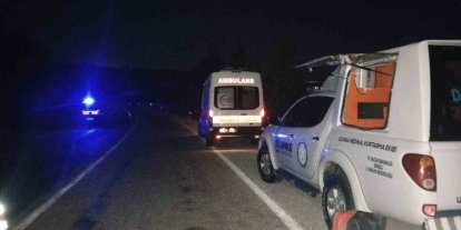 Yabani hayvana çarpan hafif ticari araç şarampole uçtu