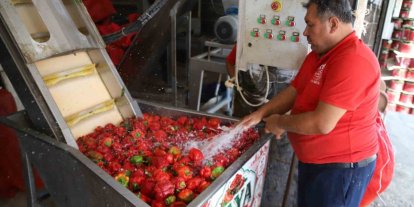 Gaziantep’te kışlık salça mesaisi başladı