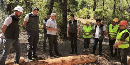Soma ormanlarında yangın riskine karşı yoğun çalışma