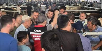 Aydın’da hayvan pazarlarında sıkı denetim