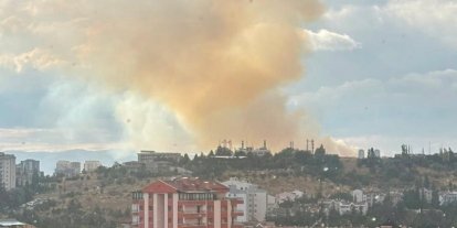 Ankara’da otluk alanda yangın çıktı