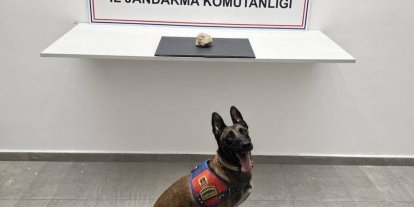 Şanlıurfa’da uyuşturucu operasyonu: 1 tutuklama
