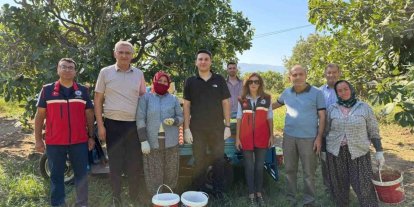 Kaymakam Haydaroğlu, Feslek’te incir üreticileriyle buluştu