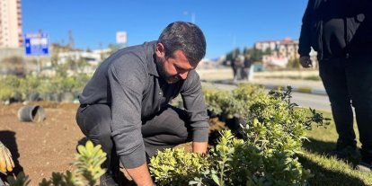 Karabük’te yeşil seferberlik: 58 bin ağaç ve çiçek toprakla buluştu