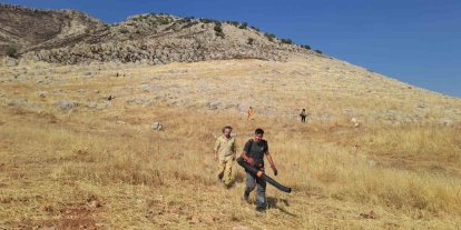 Diyarbakır’da yaklaşık 400 dönüm alanı küle çeviren yangın kontrol altına alındı