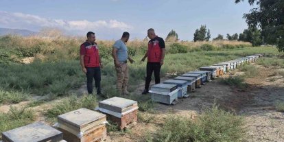 Antakya’da arıcılar bal sağımını sürdürüyor