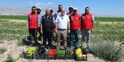 NÖHÜ’de 51 bin fideyle üretilen ürünlerin hasadı yapıldı