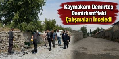 Kaymakam Demirtaş Demirkent’teki Çalışmaları İnceledi