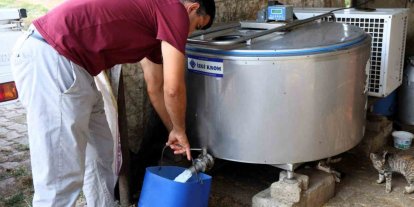 Soğutma tankları süt üreticisinin maliyetini düşürdü