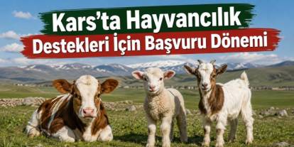 Kars’ta Buzağı, Kuzu ve Oğlak Desteği Başvuruları Başladı