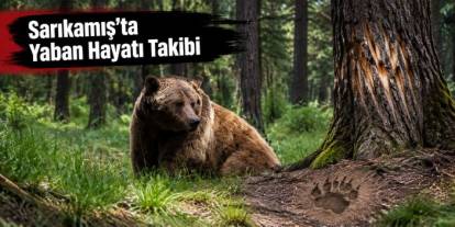 Sarıkamış’ta Yaban Hayatı Takibi