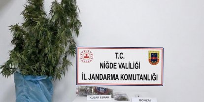 Niğde’nin Bor ilçesinde uyuşturucu operasyonu
