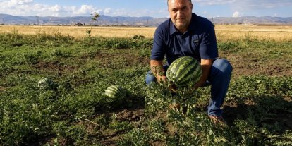 Ağrı’nın verimli tarlalarında yetişen kavun ve karpuzlar tezgâhlara hazırlanıyor