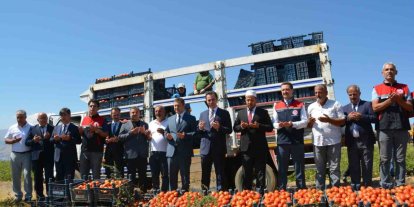 Bitlis’te domates hasadı başladı: Bölgede 1’inci, Türkiye’de 7’nci sırada