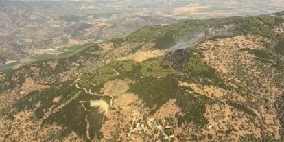 Çine’deki orman yangını kontrol altına alındı