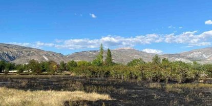 Erzincan’da anız yangını büyümeden söndürüldü