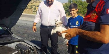 Otomobilin motoruna sıkışan kedi kurtarıldı