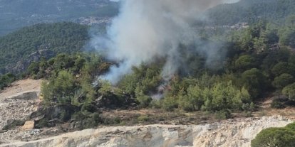 Milas’ta orman yangını
