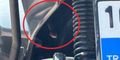 Bursa’da motosikletten çıkan yılan şoke etti
