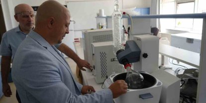 Kastamonu ormanlarında yetişen mantarlar ciltleri güneşten koruyacak