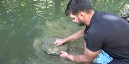 Türkiye’de altın çok arayan yok...Derelerde her gün 5 gram altın çıkarıyorlar