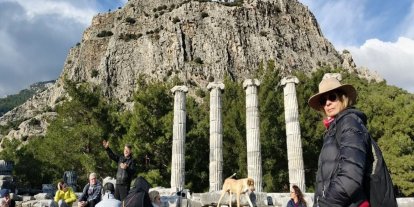 Doğaseverler, Anadolu’nun Pompeisi Priene Antik Kenti’ne dikkat çekti