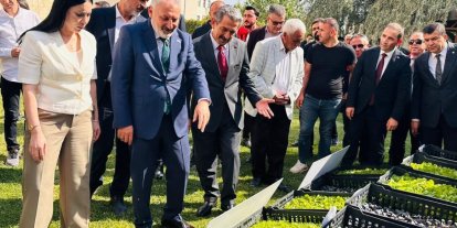 Şırnak’ta üreticilere 152 bin sebze fidesi ve çoban çantası dağıtıldı