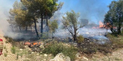 Antalya’da  zirai alanda çıkan yangın büyümeden söndürüldü
