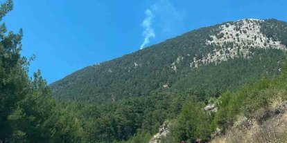Fethiye’de orman yangını yangını kontrol altına alındı