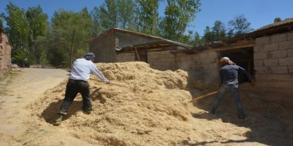 Erzincan’da çiftçinin kış hazırlığı sürüyor