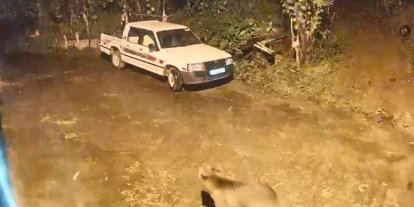Ayı evin kapısına kadar geldi, o anlar kamerada
