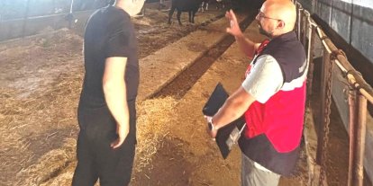 Tavşanlı’da Destek Projesi kapsamındaki ithal hayvanlar kontrolden geçirildi