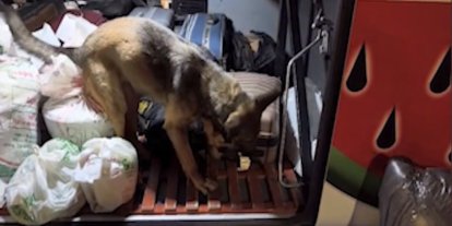 Kayseri’de yolcu otobüsü operasyonu: 3 kilo 420 gram uyuşturucuyla yakalanan 2 şüpheli tutuklandı