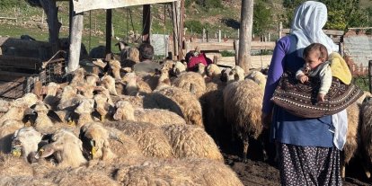 Konargöçer ailelerin ömrü yaylalarda geçiyor